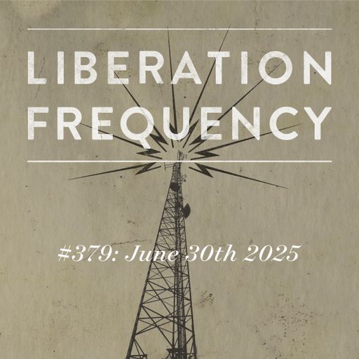 Liberation Frequency #379