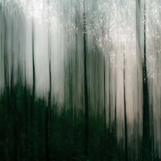 Arboreal Ambient