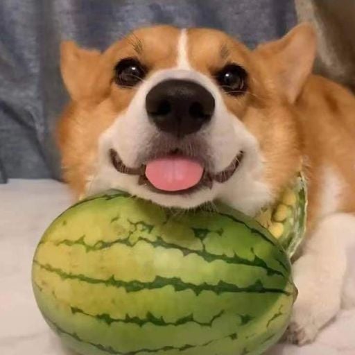 DJ'YE【全粵語舞曲】《鄧岳章 - 魔鬼邂逅 x 菊梓喬、王浩信 - 欲言又止 x 陳伯宇 - 你瞞我瞞 x 裕美 - 雪映移城》Mixtape 2x22 Just For Steven Y