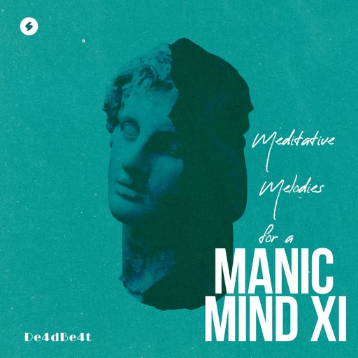 Meditative Melodies for a Manic Mind XI