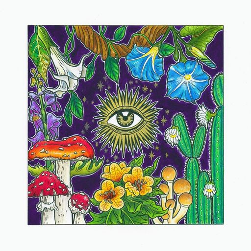 Pharmacology Of Psychoactive Plants #13