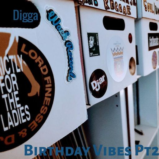Digga-Birthday Vibes Part 2