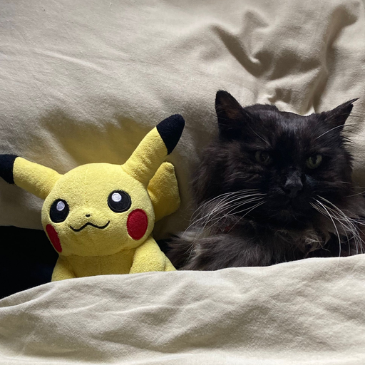 DIAL TONE w/ Camille & Marcus - 13/02/2024 - Voices Radio