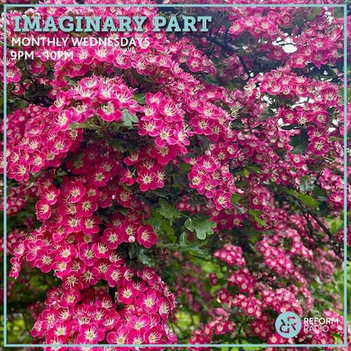 Imaginary Part 31st July 2024