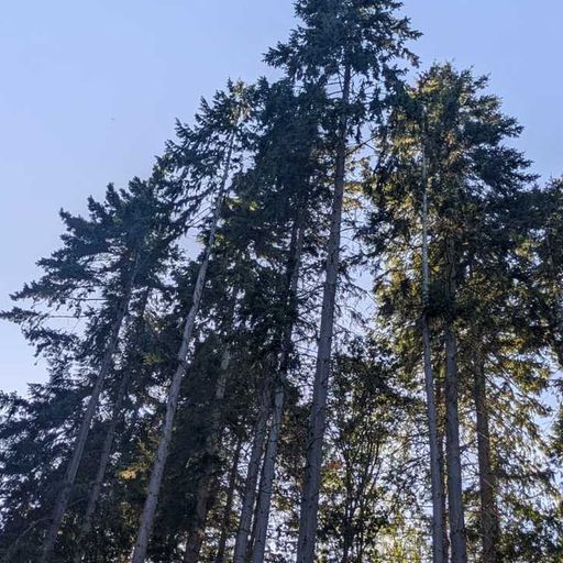 Connections to Sound #25 - 17 July 2025