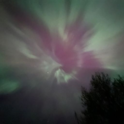 Phoenix in the Northern Lights!