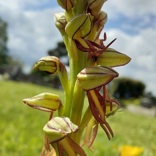 Random Wednesday set (10/07/24)