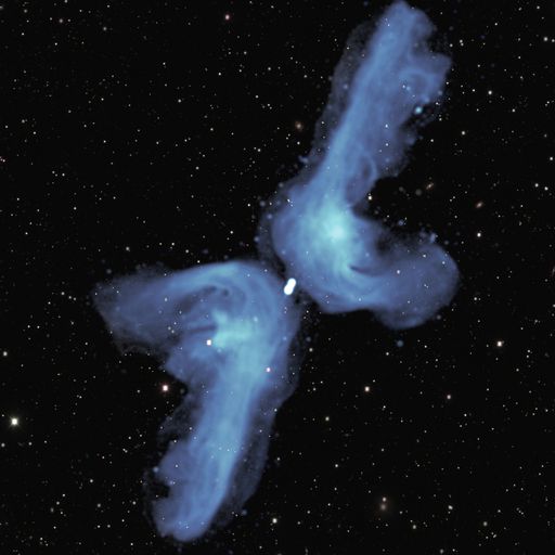 SPACE ODYSSEY   (Space Bird)