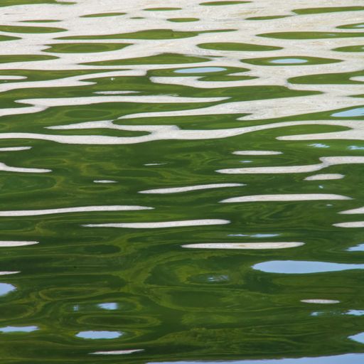 Naviar Broadcast #320 - Face of the Winter Pond - 22nd May 2024