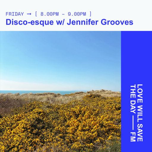 2025-04-11 Discoesque - Jennifer Grooves