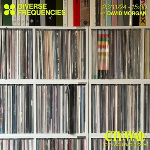 Diverse Frequencies w/ Dave Morgan - November 2024