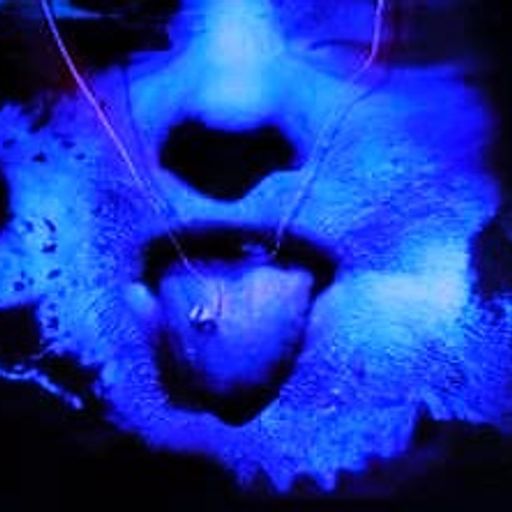 Hard-Wired (ExtendedSmoothJazz)