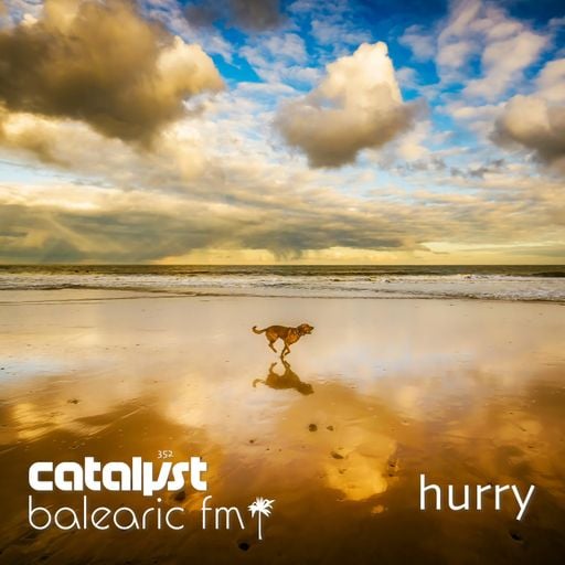 hurry (352) (catalyst)