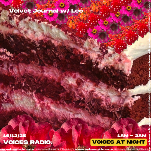 Velvet journal w/ Leo 16.12.25