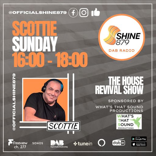 Scottie - 18 Aug 2024