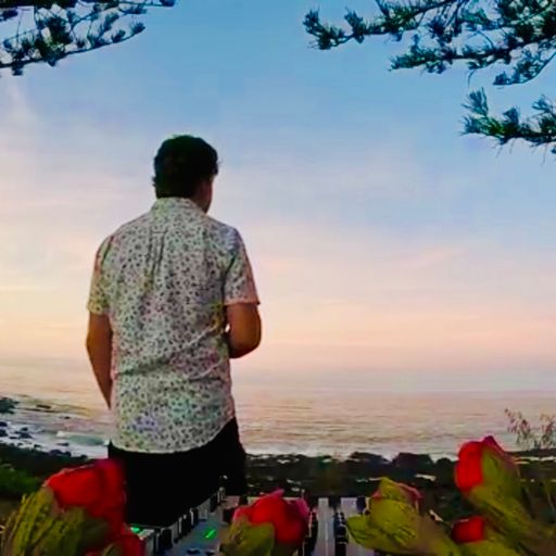 SuNset HomeComing - Tropical Bargara LiveStream