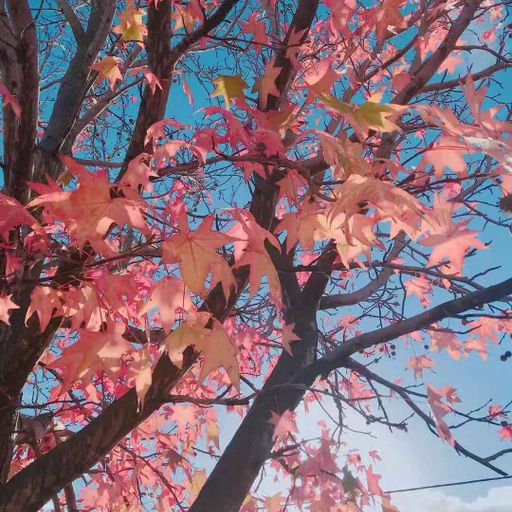 『We Run The Night●夏婉安 - 習慣●Goin In』ReMix 2o18 Private NonStop ManYao Just For Josh By DJ'YE