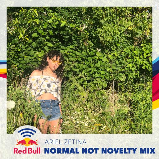 Normal Not Novelty Mix - Ariel Zetina