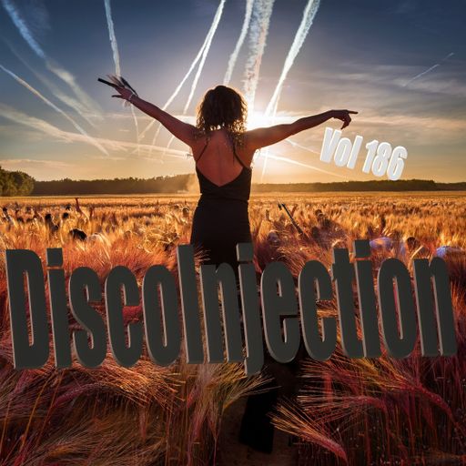 Funky House Mix Vol. 186 / 2025 by DiscoInjection