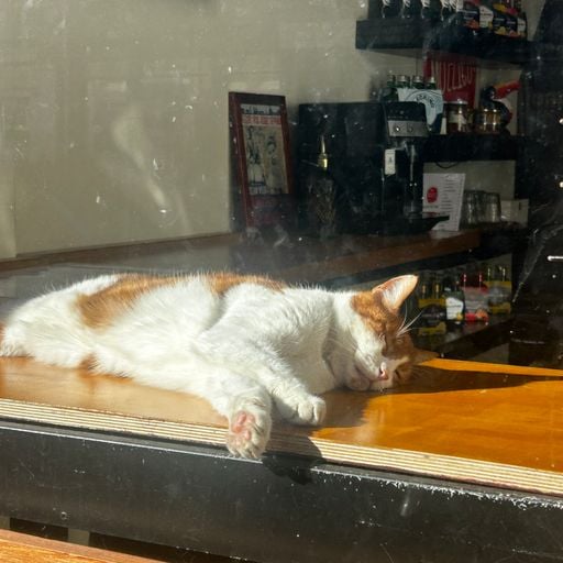 Breakfast Club Coco: Coco Maria // 03-03-26