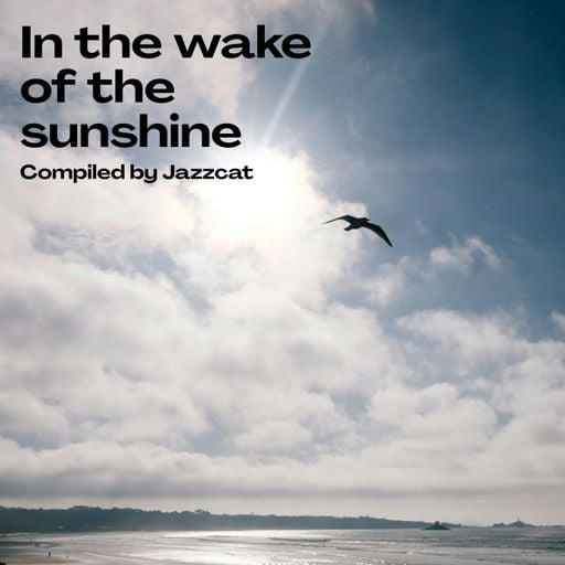 In the wake of the sunshine