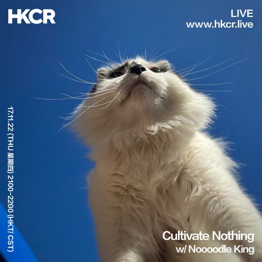 Cultivate Nothing w/ Noooodle King - 17/11/2022