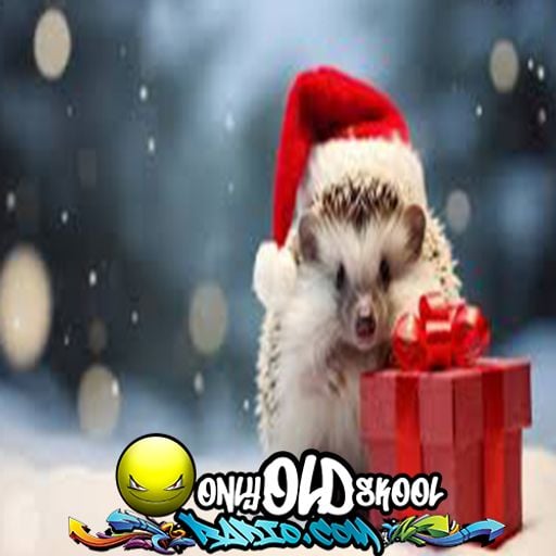 DJ Hedgehog Christmas Special - 15th December 2023 - OnlyOldSkoolRadio.com
