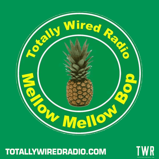 Mellow Mellow Bop Melllow Music Special - Richio Suzuki ~ 28.11.23 #live