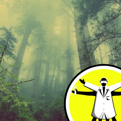 Talking Trees: Science in the Forest