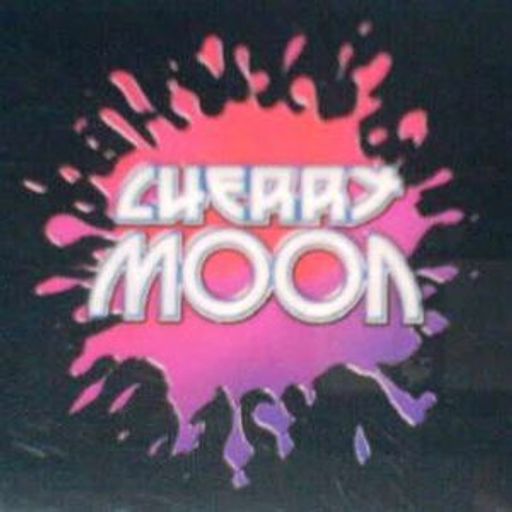 Youri Parker at Cherry Moon (Lokeren - Belgium) - 15 September 1995