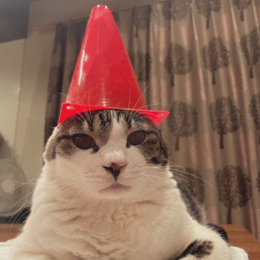 Cowtime w. Cowtome - September 2023