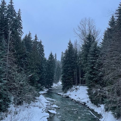 Imitation crab - Between Worlds - 12th December 2025