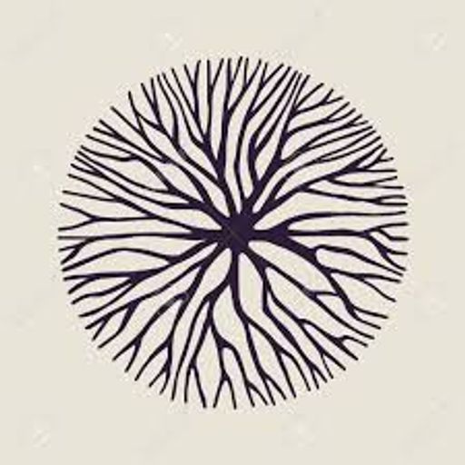 Roots