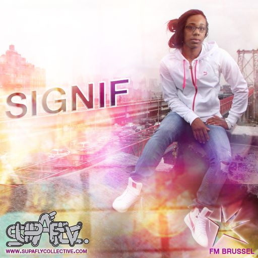 Introducing: Signif