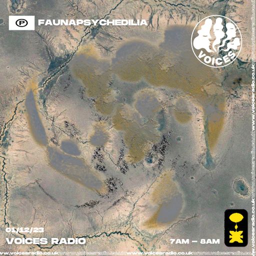 FaunaPsychediliaAndEverythingInBetween - 02/12/23 [Voices Radio]