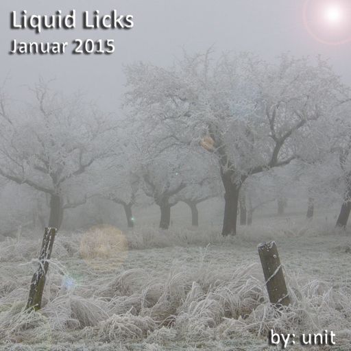 Liquid Licks January 2015