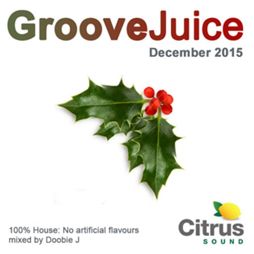 Groove Juice Hollyberry - December 2015