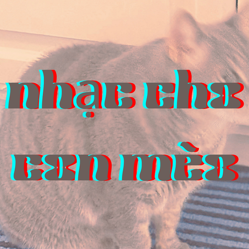 nhạc cho con mèo w/ catppl - 1st January 2026