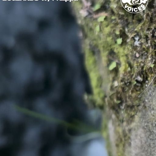 Boglands w/ Philippa - 14/10/25 - [Voices Radio]