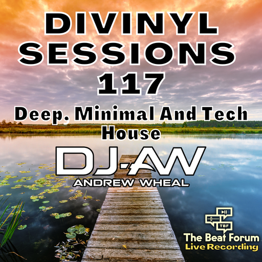 Divinyl Sessions 117 - Deep Minimal And Tech House