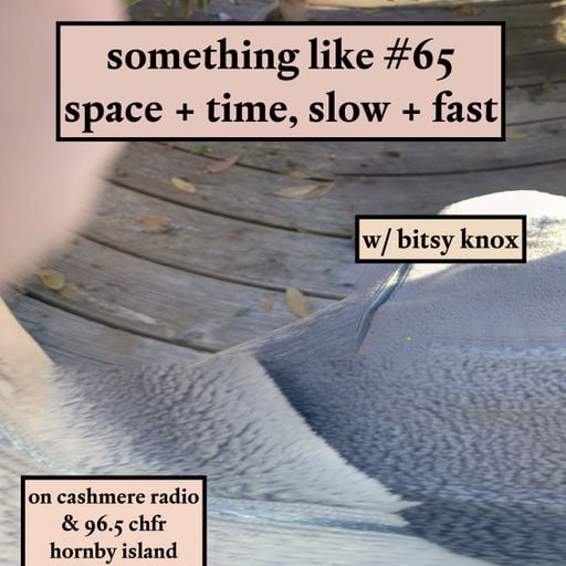 Something Like #65: space & time, slow & fast 05.11.2025