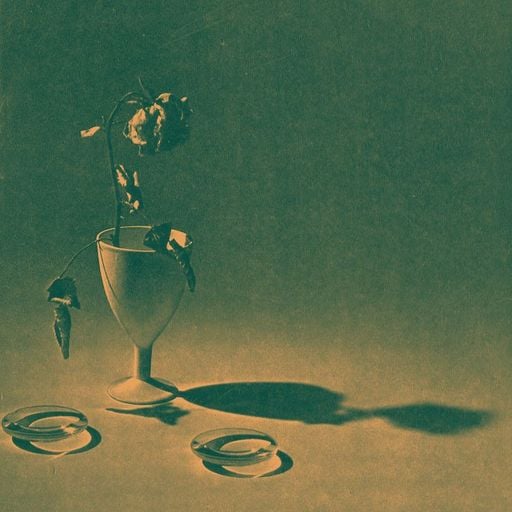 Forager Records - 9th October 2025