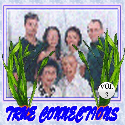 TRUE CONNECTIONS VOL. 3