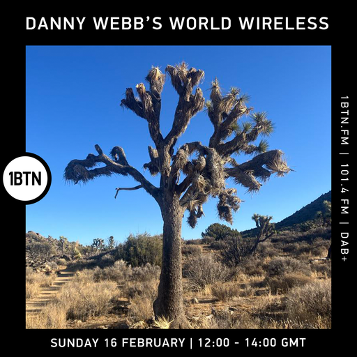 Danny Webb's World Wireless - 16.02.25
