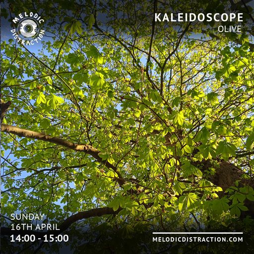 Kaleidoscope with Olive (April '23)