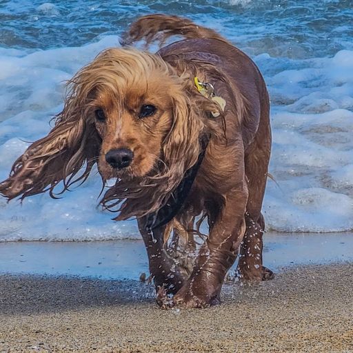 Party In My Head (Autumn '25 Mix)