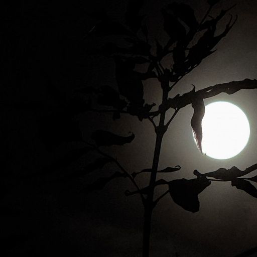 m00dtapes - 12th October 2025