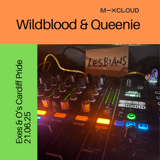 Wildblood and Queenie: Exes and O's Cardiff Pride 21.06.25