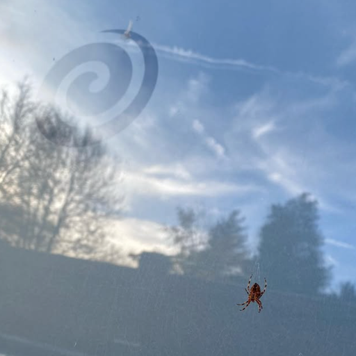 Wayward w/ Silquil 12/02/2026 - [Voices Radio]