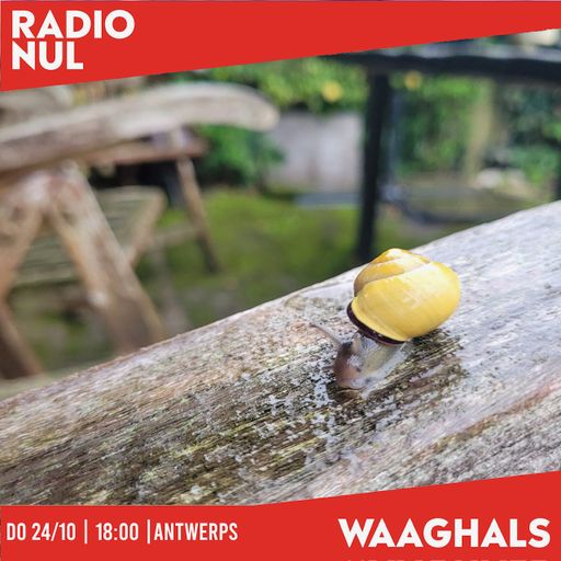 Antwerps - Winterdepressie Preparty / 24-10-2024